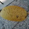 南宁摆烂大师头像