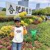 家有四季春小辉头像