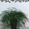余生快乐头像