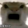爱国我是爷们。(理智爱国)头像