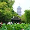 三合股道西风头像