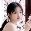 🌹梦中蝶影🌹头像