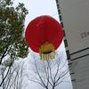玄悟wang头像