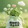 春春姐，头像