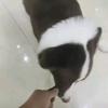 无所谓头像