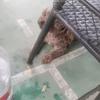 @大吴的老挝媳妇头像