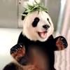 晓看天色头像