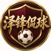 泽锋侃球头像