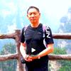 林中益鸟头像