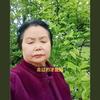 高大姐(不定时开播)头像