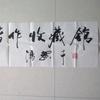 张抗抗著作收藏馆头像