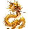 🚲🐲风雨无阻（发财发财🇨🇳头像