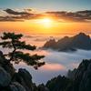 诚逸头像