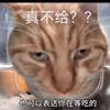 三角洲头像