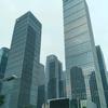 wy头像