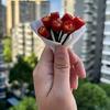 在跟世界做对抗的柳小姐头像
