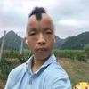 晓晓凡&兔头像
