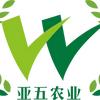 亚五 甄选（齐鲁乡村之星）头像