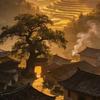 新世旧语头像