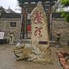 无毒头像