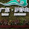感恩(悟悦骑行客)头像