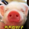 Da肘子头像