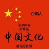 铁志大师到抖音一游头像