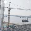 @塔司东哥头像