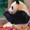 小麦看剧头像