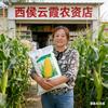 西侯云霞农资店头像