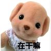 我的过乖乖头像