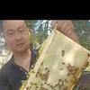 金，奋发图强，否极泰来。头像