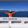 春昵头像