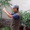 拍意拍（手机摄影）头像