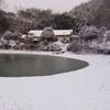 青山·问月影视头像