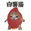 白薯的猫meme头像
