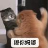 B95头像