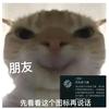 少羽头像