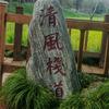 卓宝科技—清风头像