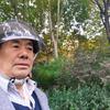 平凡泉歌头像