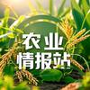 农业情报站头像