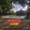 ♥️天天乐头像