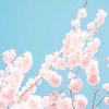 汐沐芷头像
