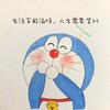 带娃看世界科普游记头像