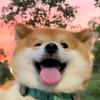 小吴骑不快头像