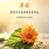 元气充电站头像