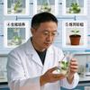 庄浪富军.育苗新农人头像
