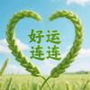 甘豫景弘头像