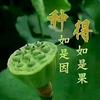 宅运玄机(免费收徒)头像