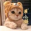 萌小猫百货头像